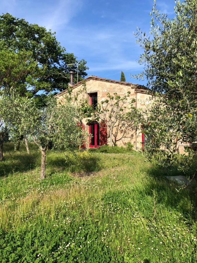 Villa Il Capanno Asciano Exterior foto