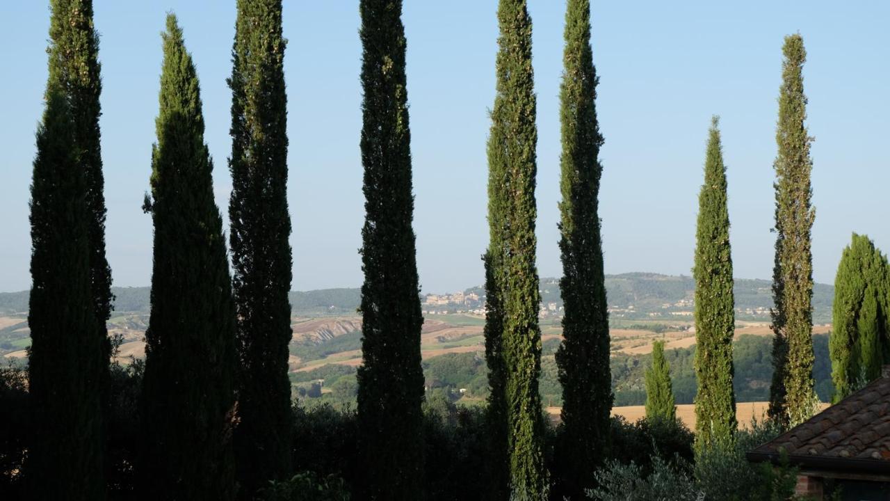 Villa Il Capanno Asciano Exterior foto